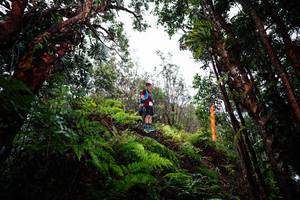 BIB: 
                            <button type="button" onclick="openModal(26204756)" class="btn btn-primary btn-sm float-right btn-popup" data-toggle="modal" data-target=".modal-high-quality">
                        <i class="fas fa-shopping-cart"></i> Add to Cart
                    </button>
                                            <button type="button" onclick="isThisMe(26204756, true)" class="btn btn-success btn-sm float-right btn-popup btn-isme hidden" data-toggle="tooltip" data-placement="bottom" title="นี่คือรูปของคุณใช่ไหม คลิกที่นี่เพื่อเอาเข้าอัลบั้ม">
                        <i class="fas fa-plus"></i> Add to album
                    </button>
                    <button type="button" onclick="isThisMe(26204756, false)" class="btn btn-warning btn-sm float-right btn-popup btn-isnotme hidden">
                        <i class="fas fa-ban"></i> Remove from album
                    </button>